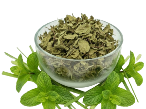 النعناع الفلفلي