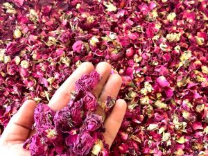 Getrocknete Rosenknospen